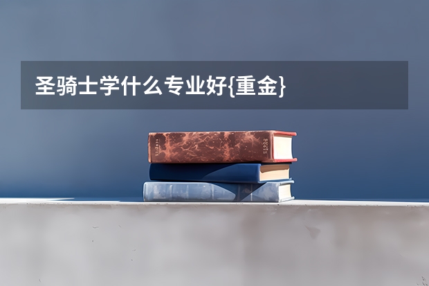 圣骑士学什么专业好{重金}