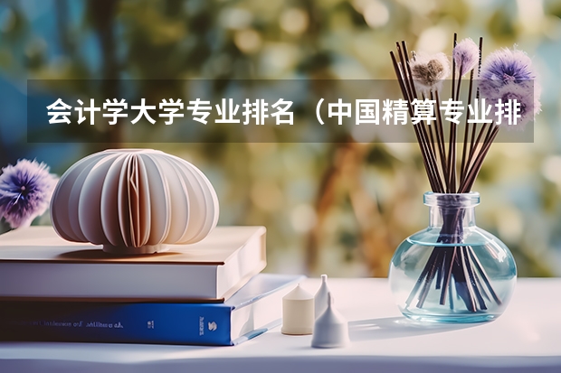 会计学大学专业排名（中国精算专业排名(研究生) ?）