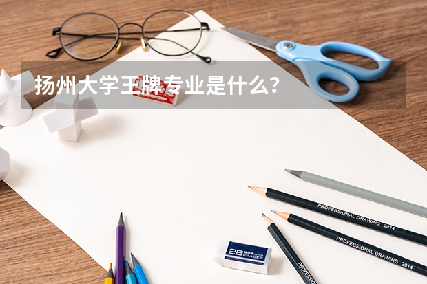 扬州大学王牌专业是什么？