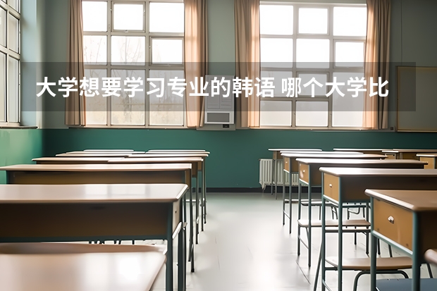 大学想要学习专业的韩语 哪个大学比较好