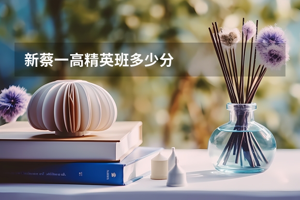 新蔡一高精英班多少分