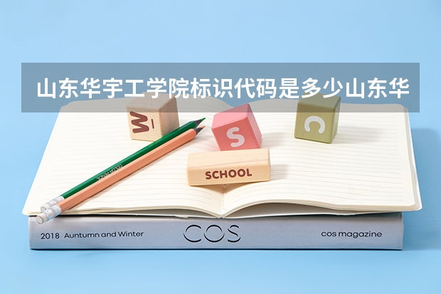 山东华宇工学院标识代码是多少山东华宇工学院介绍