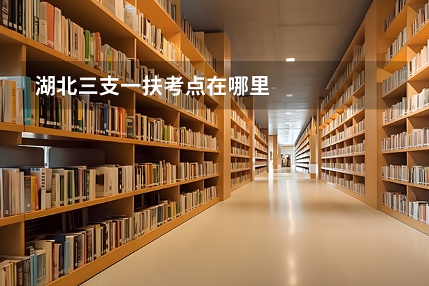 湖北三支一扶考点在哪里