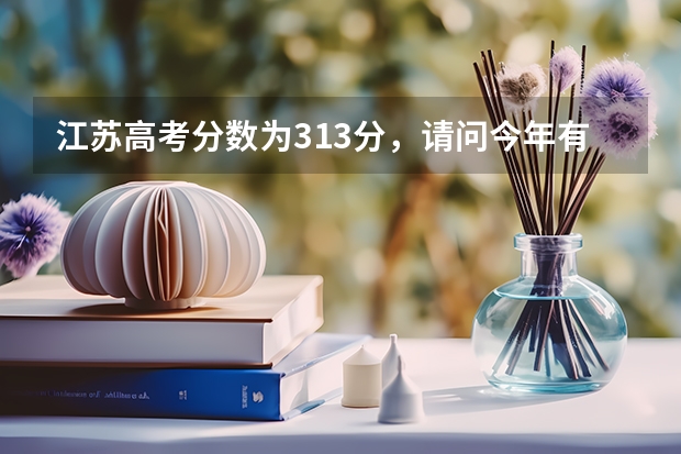 江苏高考分数为313分，请问今年有哪些二本学校会降分录取