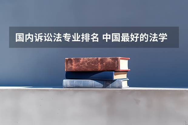 国内诉讼法专业排名 中国最好的法学专业大学排名