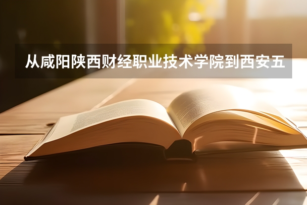 从咸阳陕西财经职业技术学院到西安五路口坐什么车