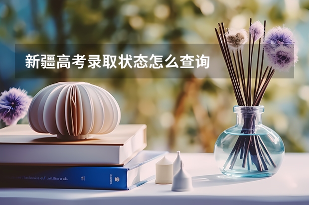 新疆高考录取状态怎么查询