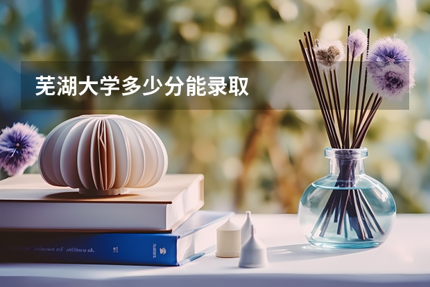 芜湖大学多少分能录取
