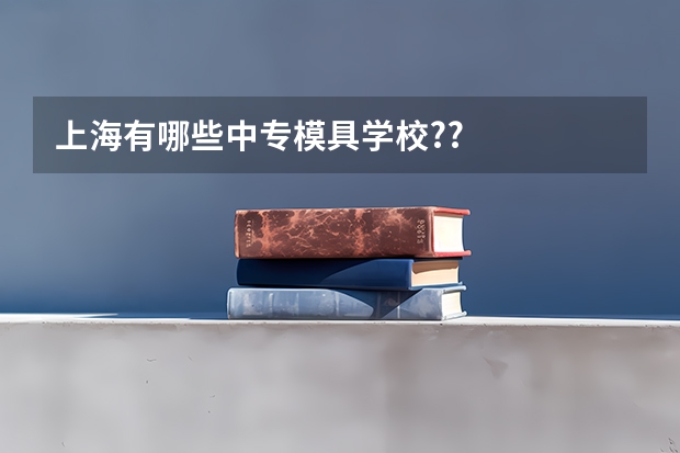 上海有哪些中专模具学校??