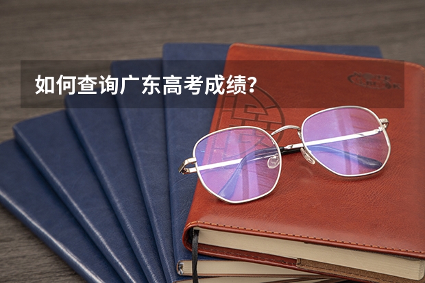 如何查询广东高考成绩？