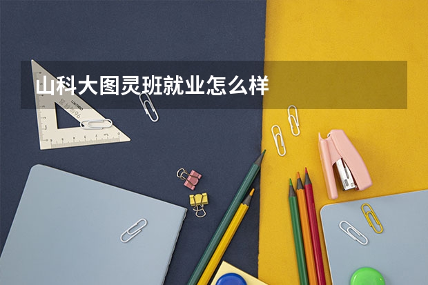 山科大图灵班就业怎么样