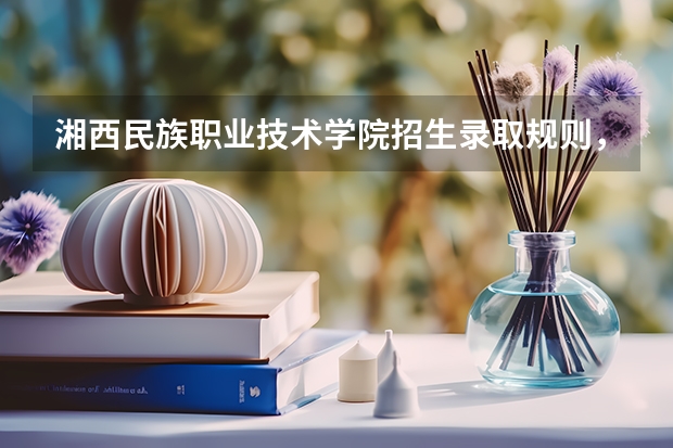 湘西民族职业技术学院招生录取规则，湘西民族职业技术学院院系设置