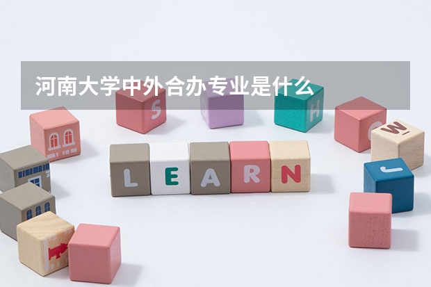 河南大学中外合办专业是什么