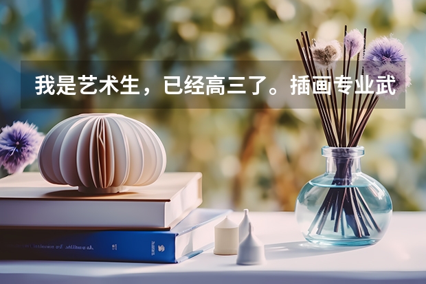 我是艺术生，已经高三了。插画专业武汉有学校好点的吗？动画专业和插画专业哪个好些呢？两者有什么区别