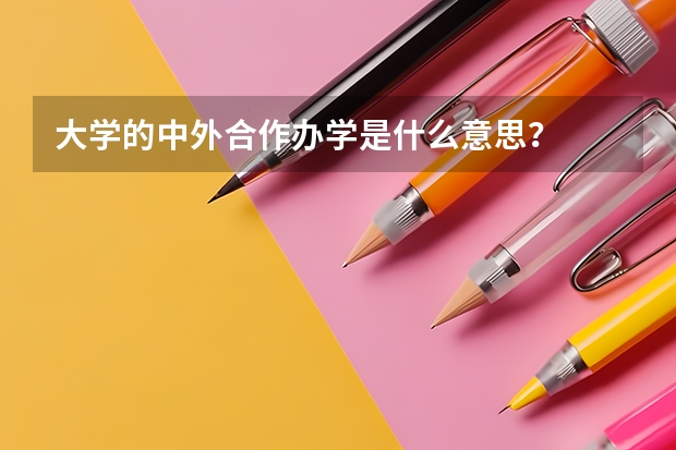 大学的中外合作办学是什么意思？