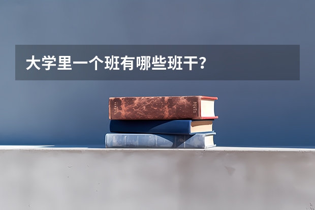 大学里一个班有哪些班干？
