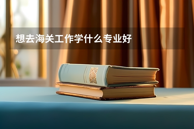 想去海关工作学什么专业好