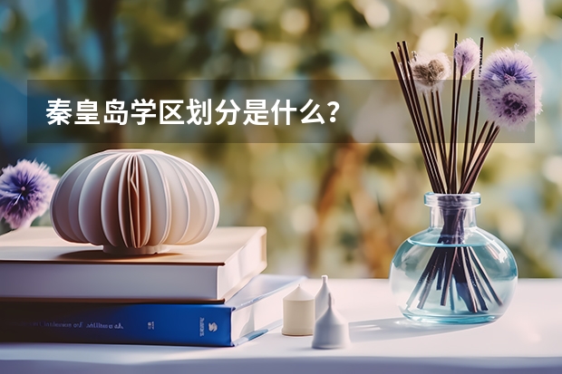 秦皇岛学区划分是什么?