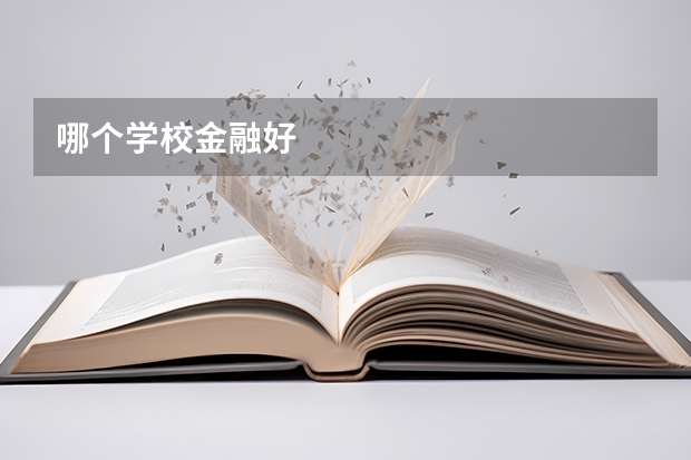 哪个学校金融好