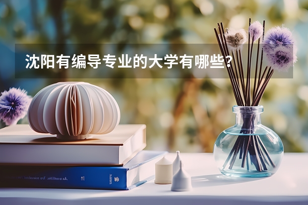 沈阳有编导专业的大学有哪些？