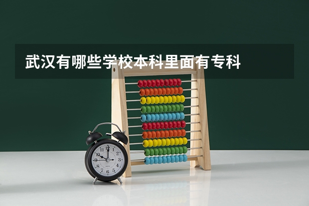 武汉有哪些学校本科里面有专科