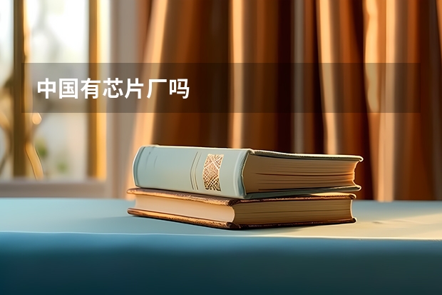 中国有芯片厂吗