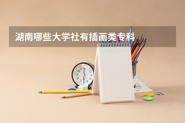 湖南哪些大学社有插画类专科