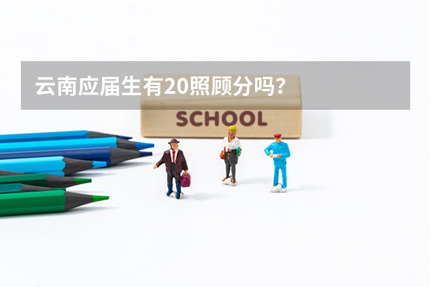 云南应届生有20照顾分吗？