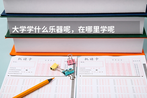 大学学什么乐器呢，在哪里学呢