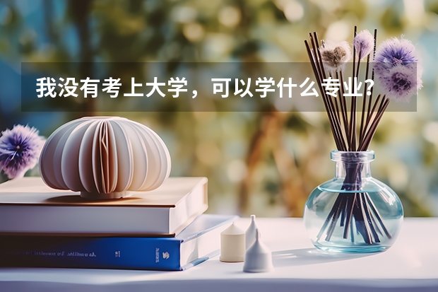 我没有考上大学，可以学什么专业？