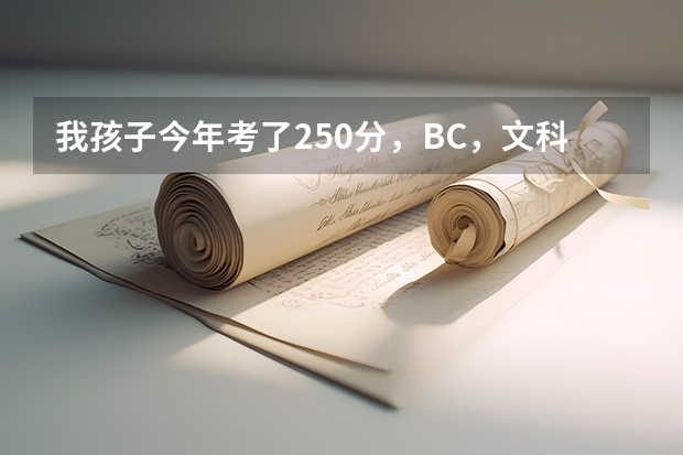 我孩子今年考了250分，BC，文科，能点招常州理工大学虞山学院二本吗? 是不是分数太低了啊？