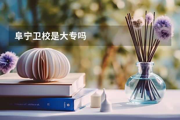 阜宁卫校是大专吗