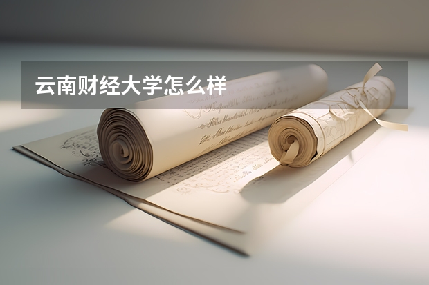 云南财经大学怎么样