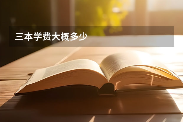 三本学费大概多少