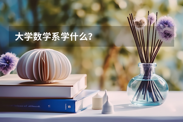 大学数学系学什么？
