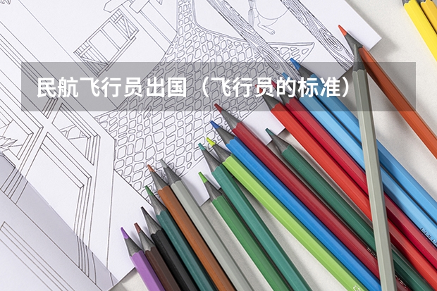 民航飞行员出国(飞行员的标准)