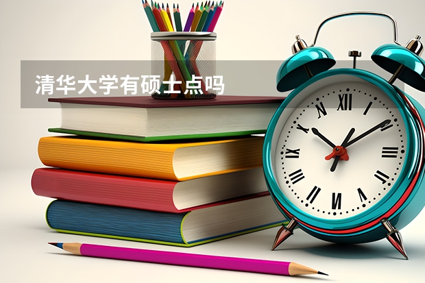 清华大学有硕士点吗