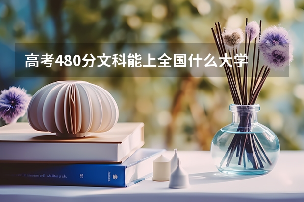 高考480分文科能上全国什么大学