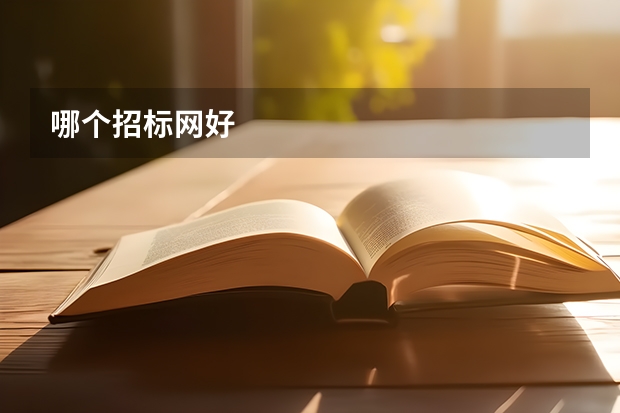 哪个招标网好