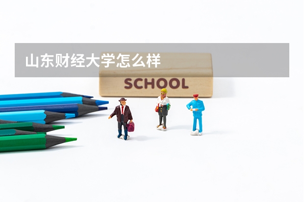 山东财经大学怎么样
