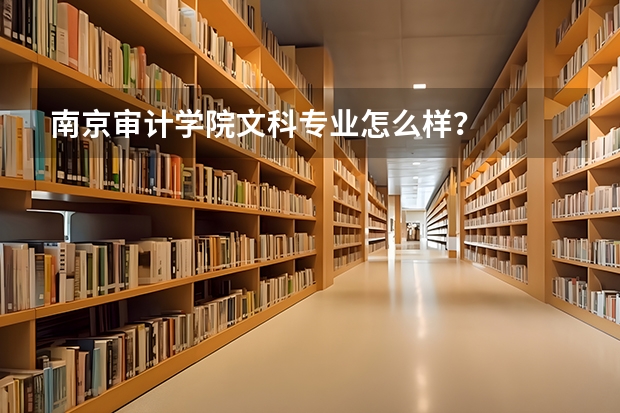南京审计学院文科专业怎么样？