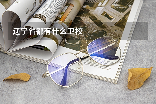 辽宁省都有什么卫校