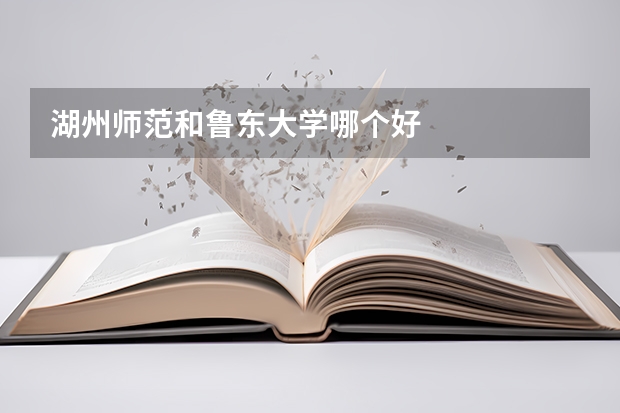 湖州师范和鲁东大学哪个好