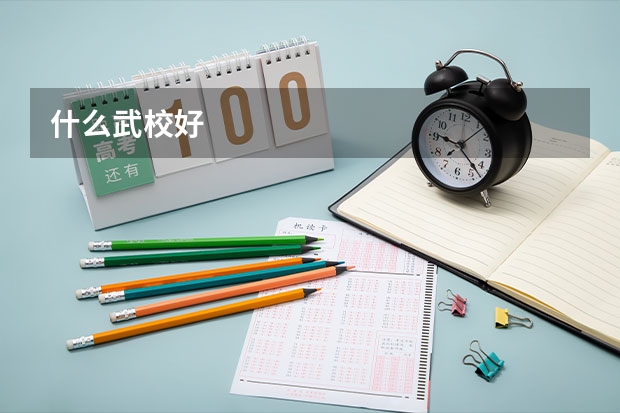 什么武校好