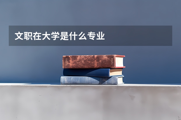 文职在大学是什么专业