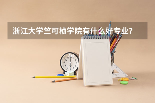 浙江大学竺可桢学院有什么好专业？