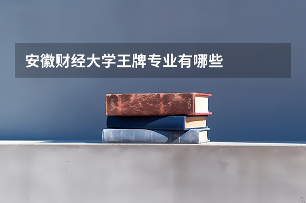 安徽财经大学王牌专业有哪些