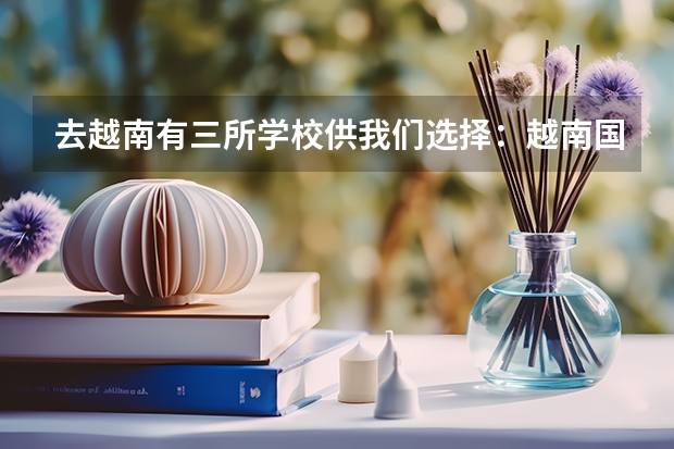 去越南有三所学校供我们选择：越南国民经济大学、河内外贸大学、社科人文大学。怎么选择