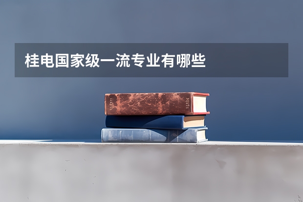 桂电国家级一流专业有哪些