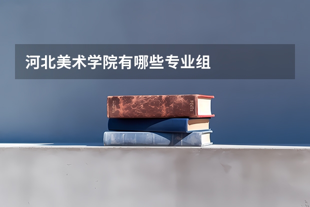 河北美术学院有哪些专业组